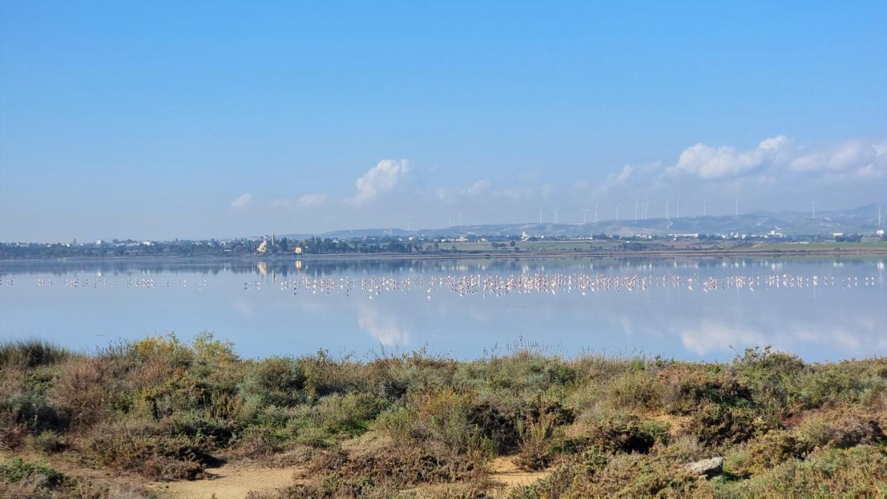 Cozy Beach Apt / 100 Mbit+ Netflix / Near Airport Larnaca Dış mekan fotoğraf